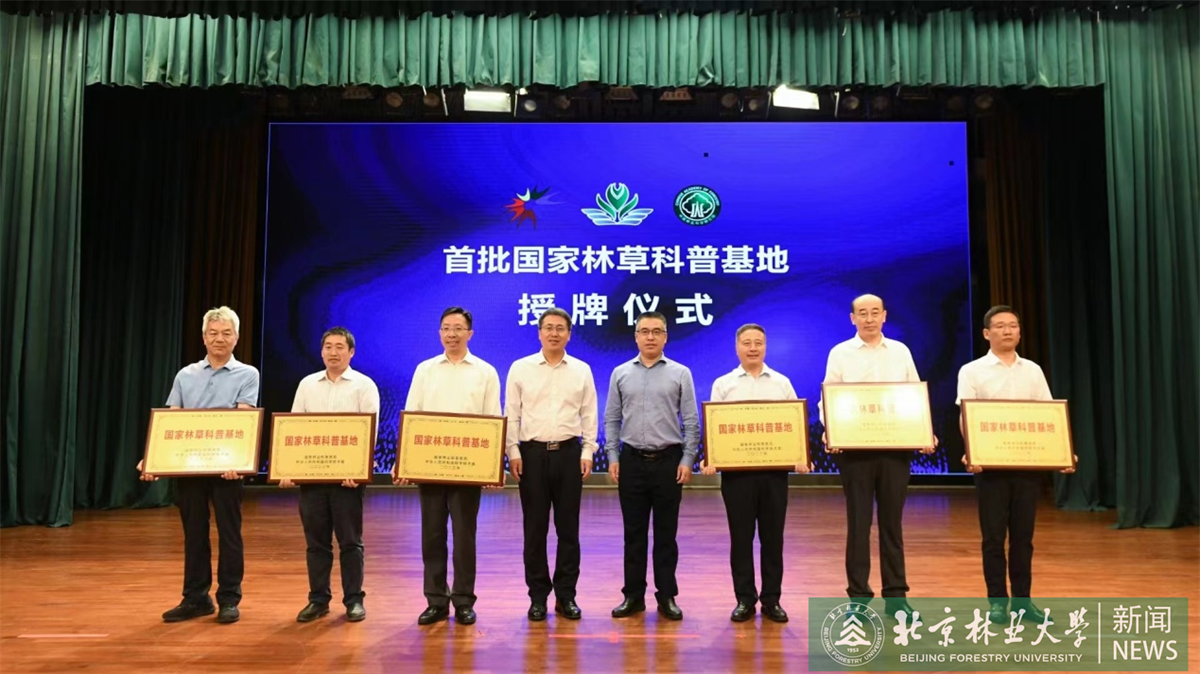 鍥剧墖1.png