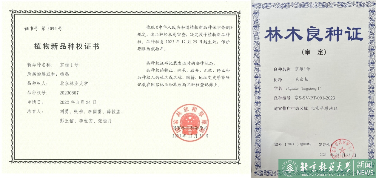 未命名_副本.jpg