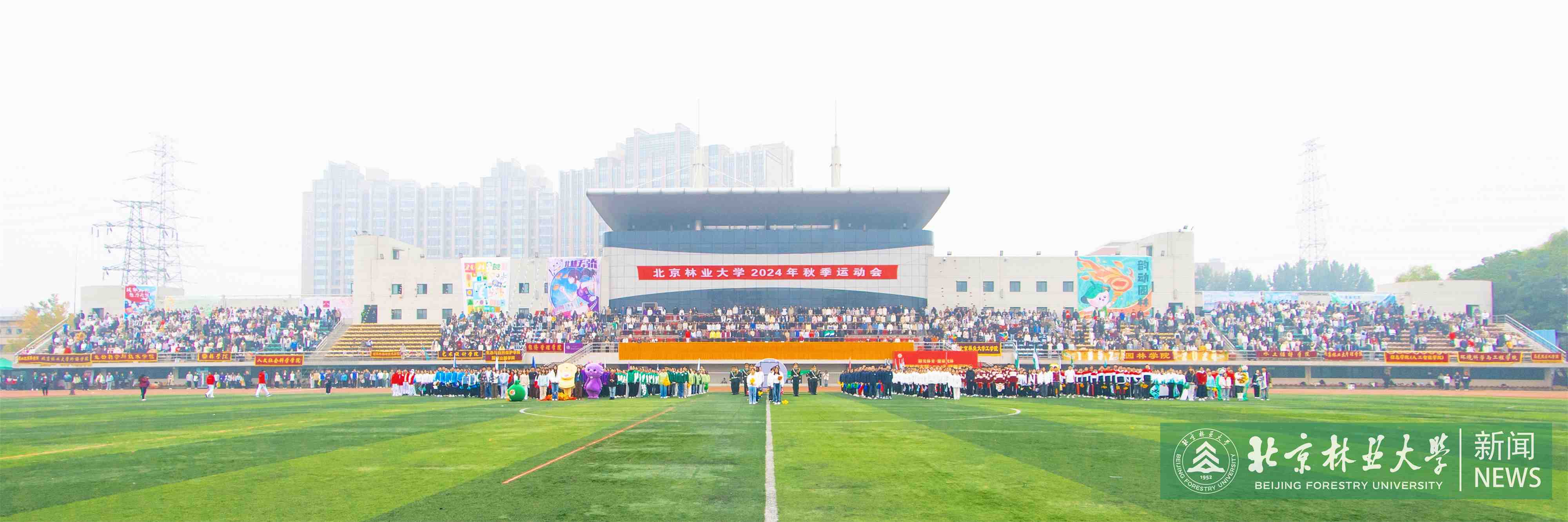 鍏ㄦ櫙.jpg