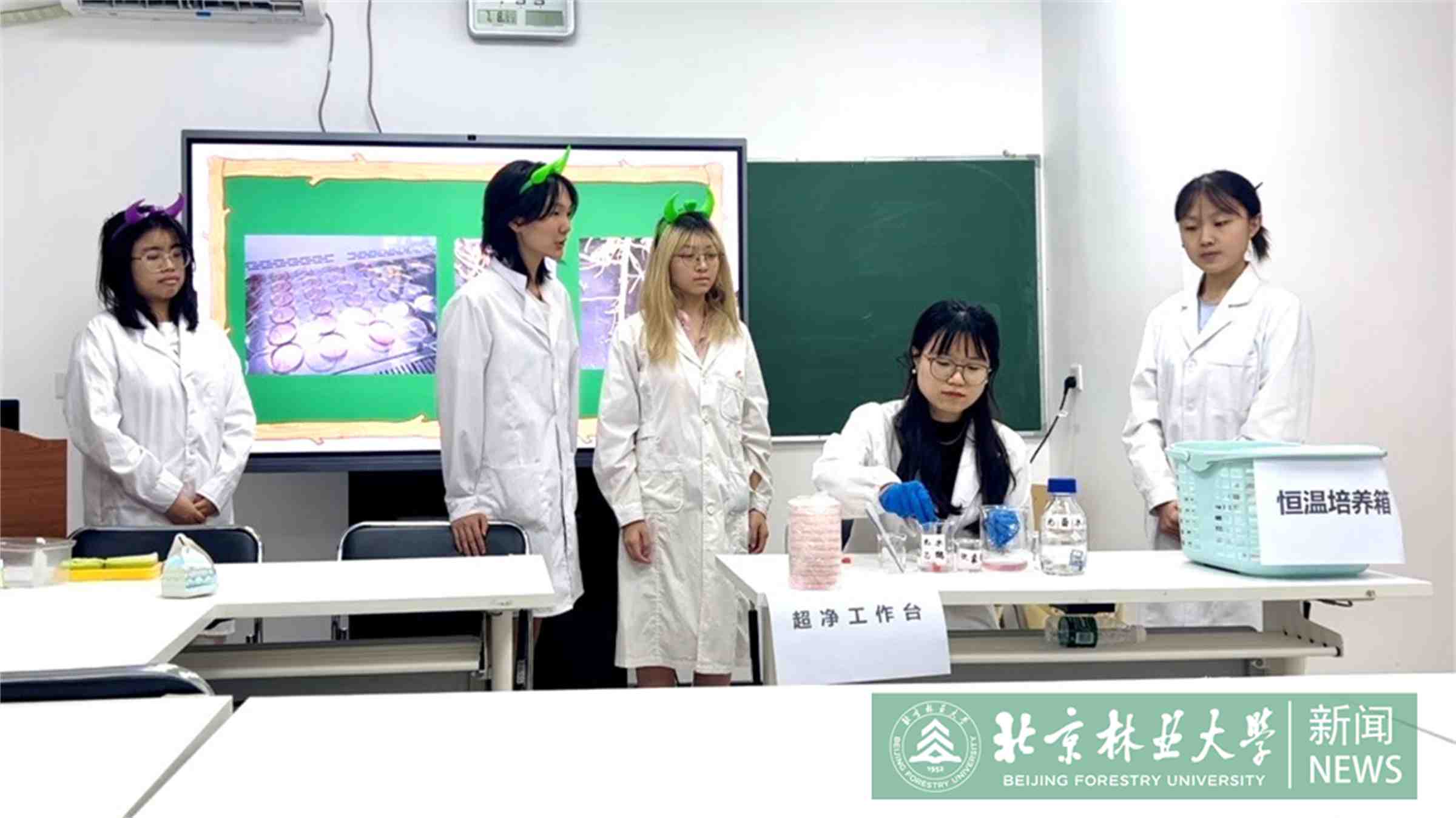 穷根根.jpg