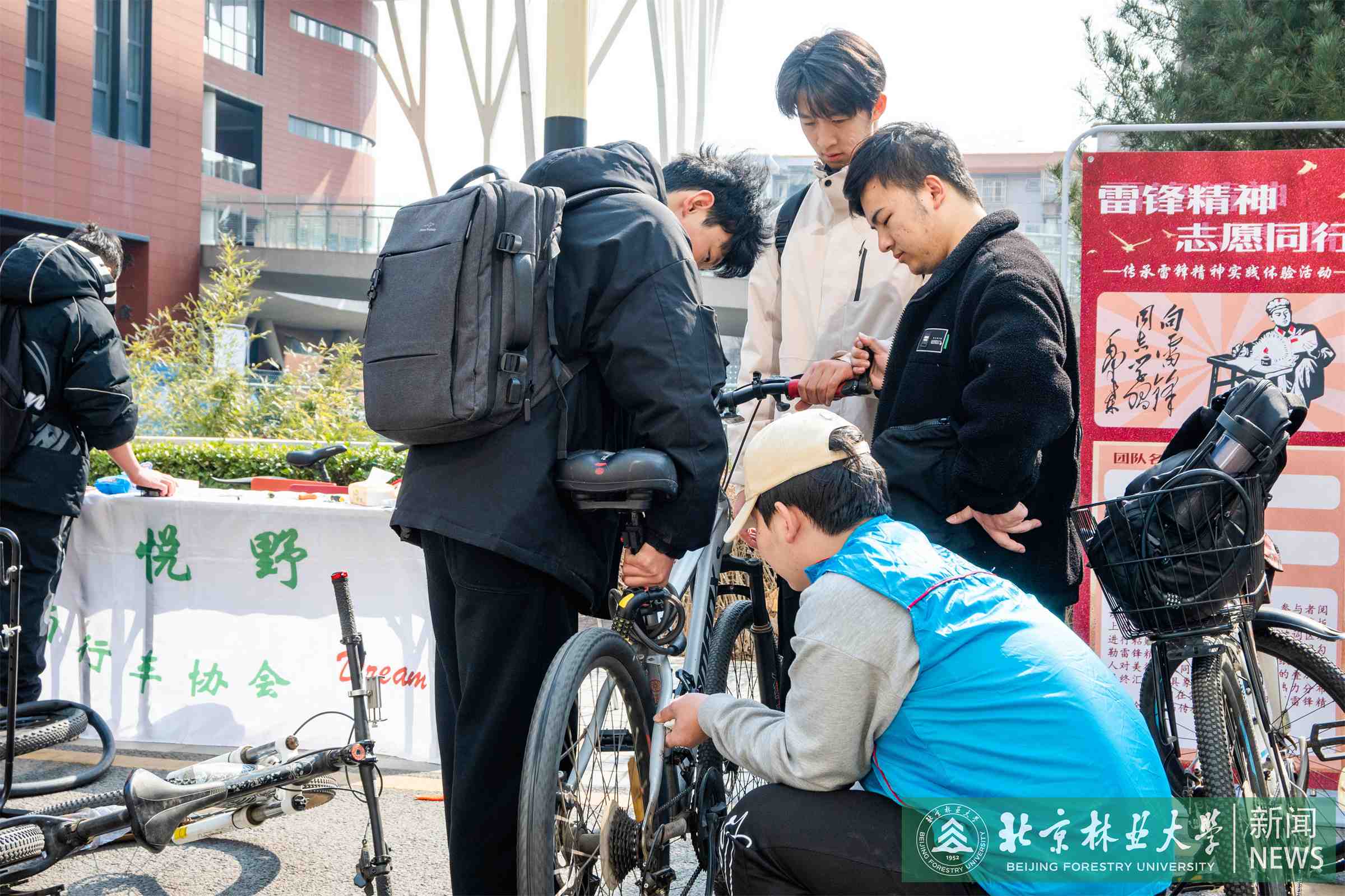 志愿服务5.jpg