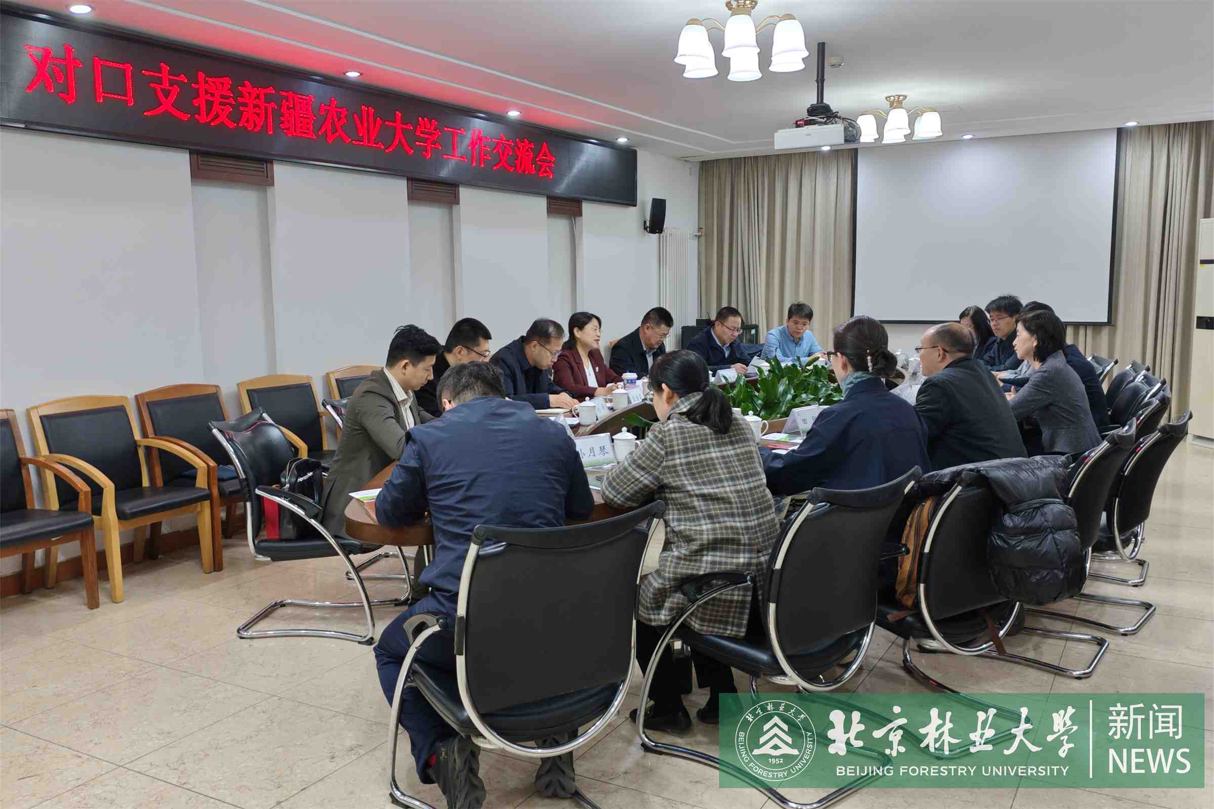 微信图片_20250321090732.jpg
