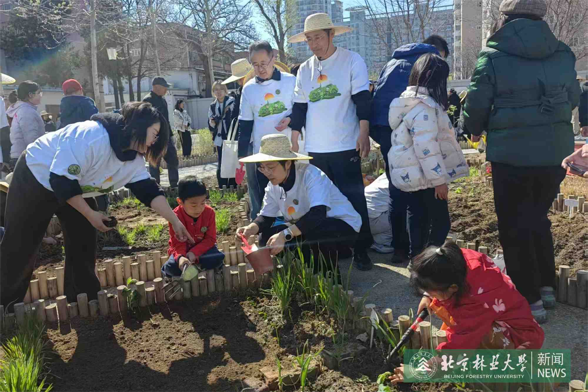 微信图片_20250401143852.jpg