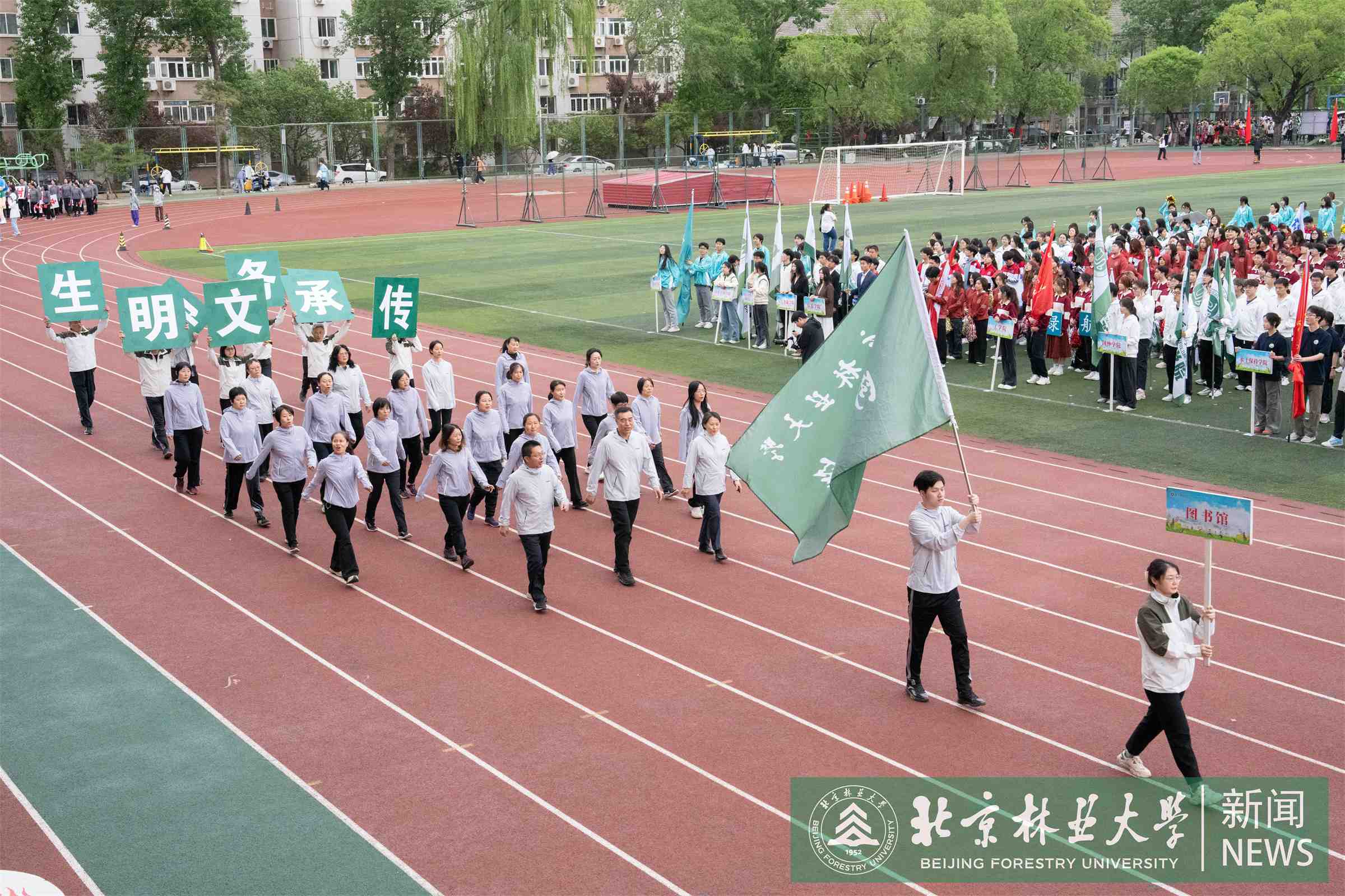 4.18运动会-25.jpg